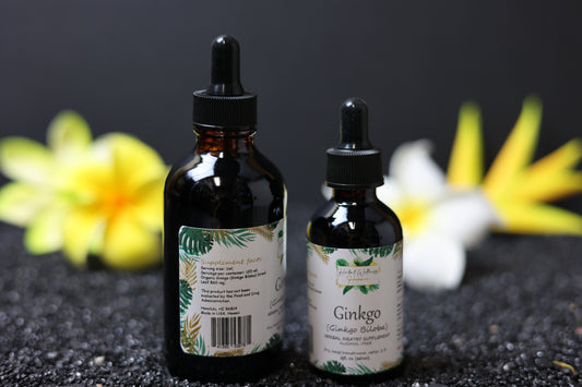 Ginkgo (Ginkgo Biloba) Dried seed Alcohol-Free Tincture