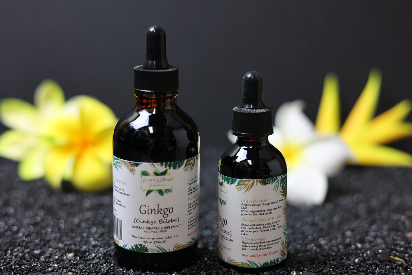 Ginkgo (Ginkgo Biloba) Dried seed Alcohol-Free Tincture