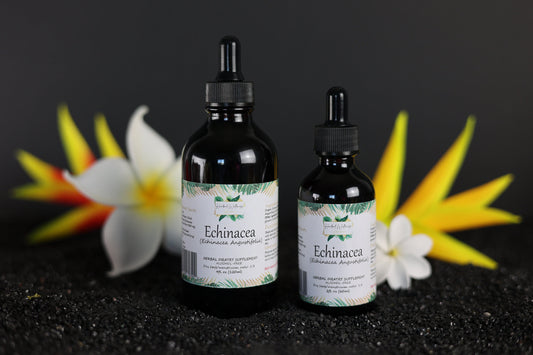 Echinacea Alcohol-FREE (Echinacea Angustifolia) Liquid Extract