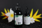 Mistletoe Alcohol-Free Liquid Extract (Viscum album) Dried Herb Tincture