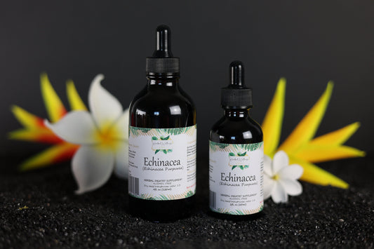 Organic Echinacea Alcohol-Free (Echinacea Purpurea) Dried Herb Tincture